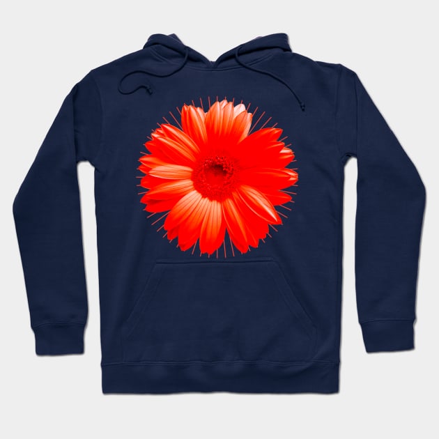 Flower Chakra Red Hoodie by emma17